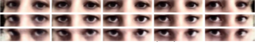 FAZE: Few-Shot Adaptive Gaze Estimation using Meta-Learning